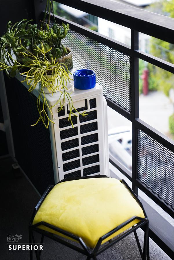 The Hive Chiang Mai Hotel Ngoại thất bức ảnh